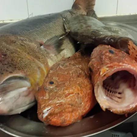 Oda ve Kahvaltı Restaurante Playa 2*